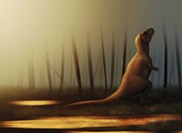 Framed Tyrannosaurus rex sunbathing after the rain