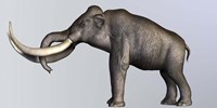 Framed Profile view of Columbian Mammoth