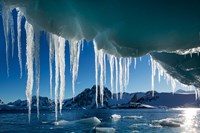 Framed Icicle hangs from melting iceberg by Petermann Island, Antarctica.