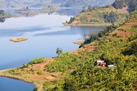 Framed Lake Mutanda near Kisoro, Uganda