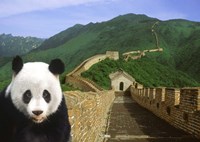 Framed Panda at the Great Wall of China