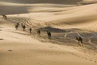 Framed MOROCCO, Tafilalt, Camel Caravan, Erg Chebbi Dunes