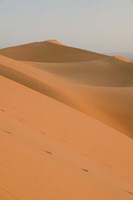 Framed Erg Chebbi Dunes, Morocco