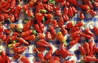 Framed Red Peppers Drying in the Sun, Tunisia