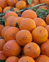 Framed Oranges for sale in Fes market Morocco