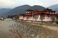 Framed Punakha Dzong, Punakha, Bhutan