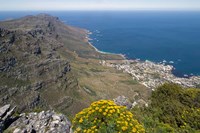 Framed South Africa, Cape Town, Table Mountain, Cape Peninsula