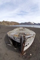 Framed Wooden whaling boat, Deception Island, Antarctica