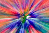 Framed Zoom Abstract of Pansy Flowers