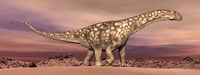 Framed Large Argentinosaurus dinosaur walking in the desert