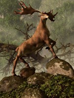 Framed Irish Elk stands proudly in a dense forest