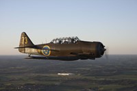 Framed North American T-6 Texan trainer warbird in Swedish Air Force colors