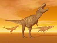 Framed Tyrannosaurus Rex dinosaurs in an orange foggy desert by sunset