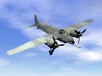 Framed World War II era German aircraft with swastika flying in the sky