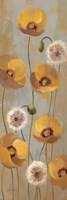 Framed Spring Poppies II