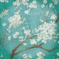 Framed White Cherry Blossoms I on Blue Aged No Bird