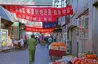 Framed Hutong in Market Street, Beijing, China