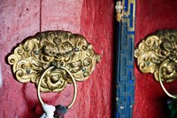 Framed Dragon Head Door Grip, Likir, Ladakh, India