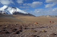 Framed Towards The Summit Of Kongmaru La, Markha Valley, Ladakh, India