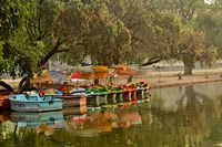 Framed Boat reflection, Delhi, India