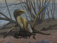 Framed Deinonychus protects its kill, a psittacosaurid dinosaur