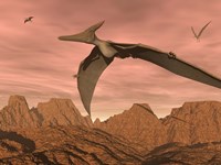 Framed Three pteranodon dinosaurs flying above rocky landscape