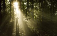 Framed Silhouette of a man standing in the sunrays of a dark, misty forest, Denmark