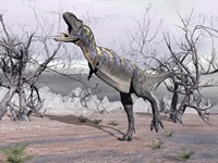 Framed Aucasaurus dinosaur roaring in the desert
