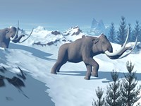 Framed Two large mammoths walking slowly on the snowy mountain