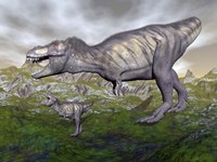 Framed Tyrannosaurus rex mother and offspring