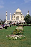 Framed Taj Mahal in Agra, India