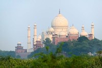 Framed Taj Mahal (UNESCO World Heritage site), Agra, India