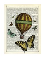 Framed Butterflies & Balloon