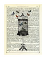 Framed Bird Cage & Butterflies