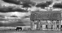 Framed Horse and Barn