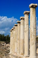 Framed Israel, Bet She'an National Park, Columns