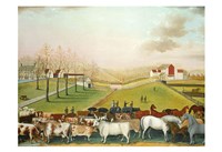 Framed Cornell Farm, 1848