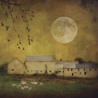 Framed Sheep Under a Harvest Moon