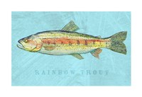 Framed Rainbow Trout