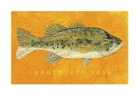 Framed Largemouth Bass