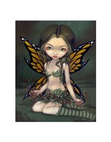Framed Fairy with Dried Flowers