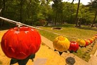 Framed Lanterns, Haeinsa Temple Complex, Gayasan National Park, South Korea