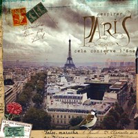 Framed Breath Of Paris