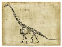 Framed Brachiosaurus Study