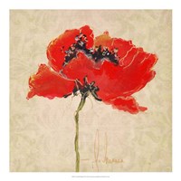 Framed Vivid Red Poppies III