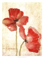 Framed Vivid Red Poppies IV