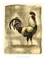 Framed Tuscany Rooster I