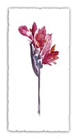 Framed Floral Watercolor V