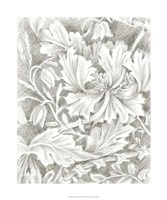 Framed Floral Pattern Sketch I
