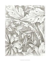 Framed Floral Pattern Sketch IV